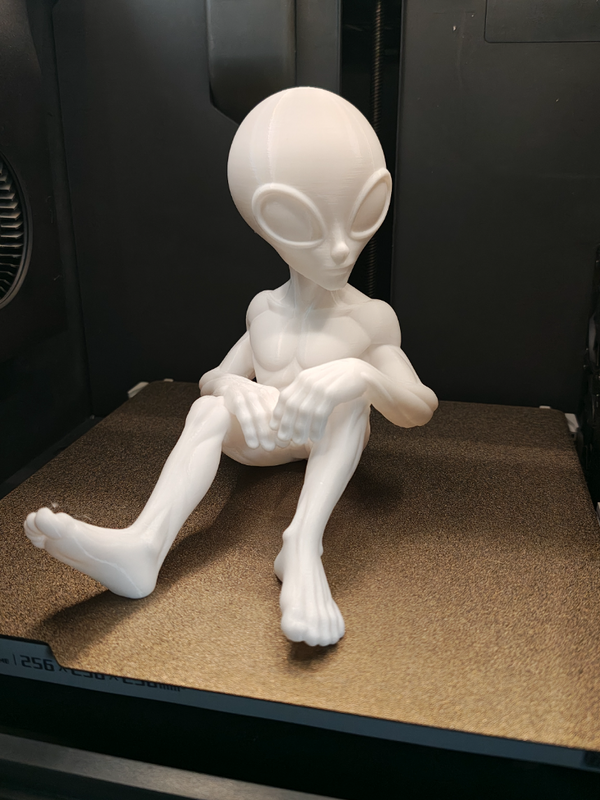 Unique Alien Figurine - Handcrafted with High-Quality PLA Material