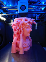 Medusa Planter - Elegantly Designed PLA Planter