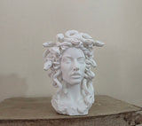 Elegant PLA Medusa Planter - Handcrafted with Precision