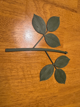 Trandafiri Personalizabili Imprimați 3D cu 5 Tipuri de Tije - PLA
