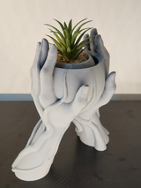 3D Printed Hands Vase in Durable PLA - Unique Planter for Succulents