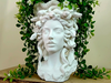 Elegant PLA Medusa Planter - Handcrafted with Precision