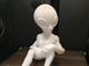 Figurină Alien Unică - Lucrată manual din Material PLA de Înaltă Calitate