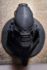 ALIEN WALL 6