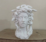 Elegant PLA Medusa Planter - Handcrafted with Precision